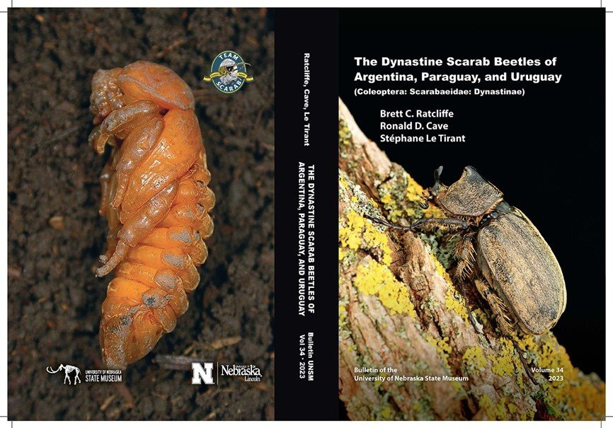 Volume 34: The Dynastine Scarab Beetles of Argentina, Paraguay, and Uruguay (Coleoptera: Scarabaeidae: Dynastinae)