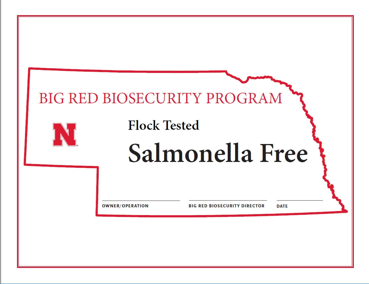 Small Flock Egg Producer Salmonella Testing Program