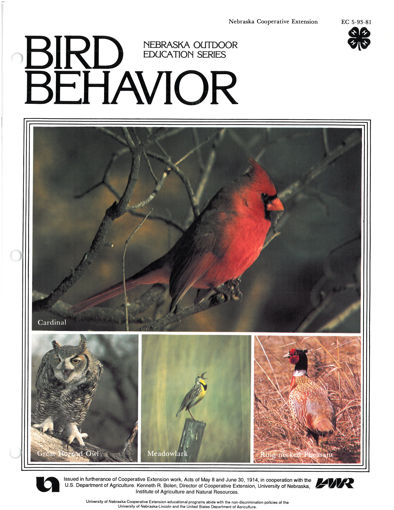 Bird Behavior