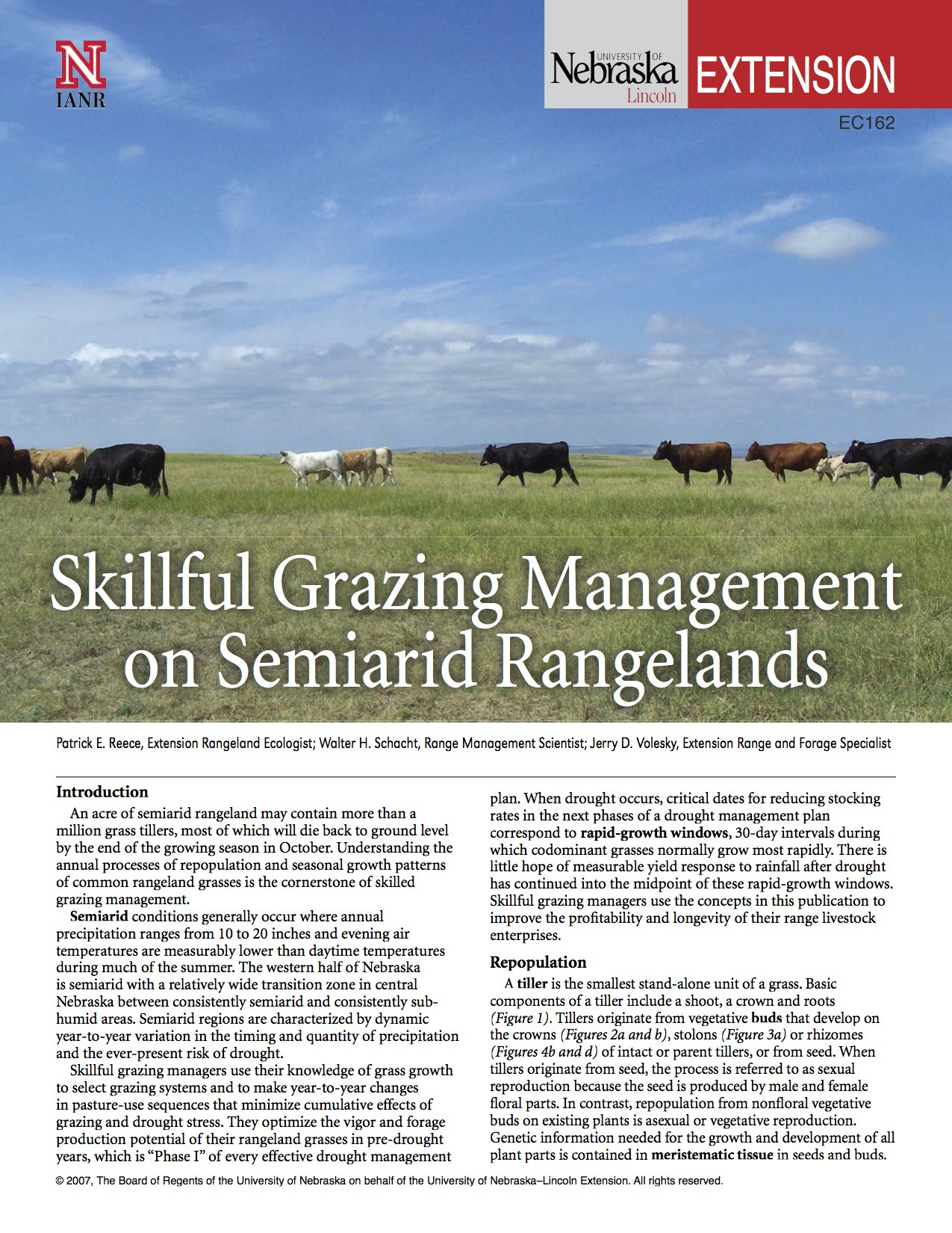 Skillful Grazing Management on Semiarid Rangelands