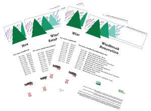 The Basics of Windbreaks