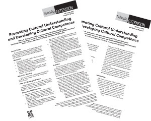 Promoting Cultural Understanding and Developing Cultural Competence