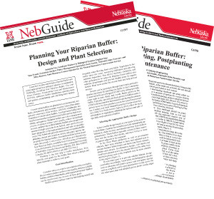 Planning and Installing a Riparian Buffer