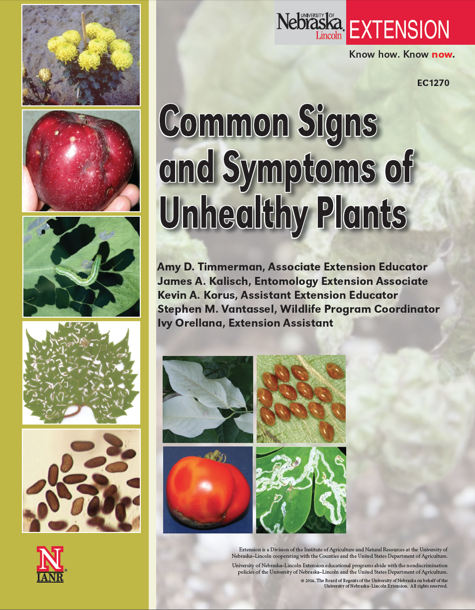 Common Signs and Symptoms of Unhealthy Plants