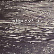 Recent Quilts By Michael James  Ambiguity & Enigma