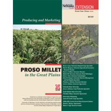 Producing and Marketing Proso Millet in the High Plains