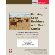 Grazing Crop Residue with Beef Cattle