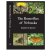 The Butterflies of Nebraska (Paperback)