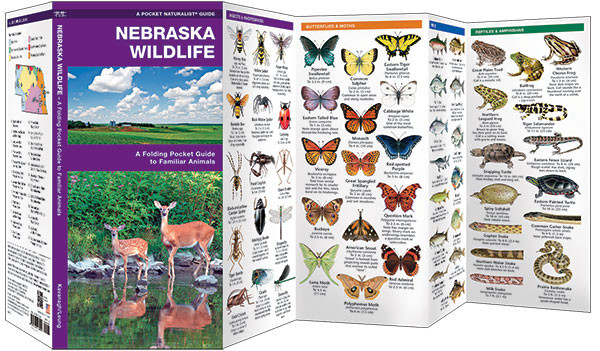 Nebraska Wildlife