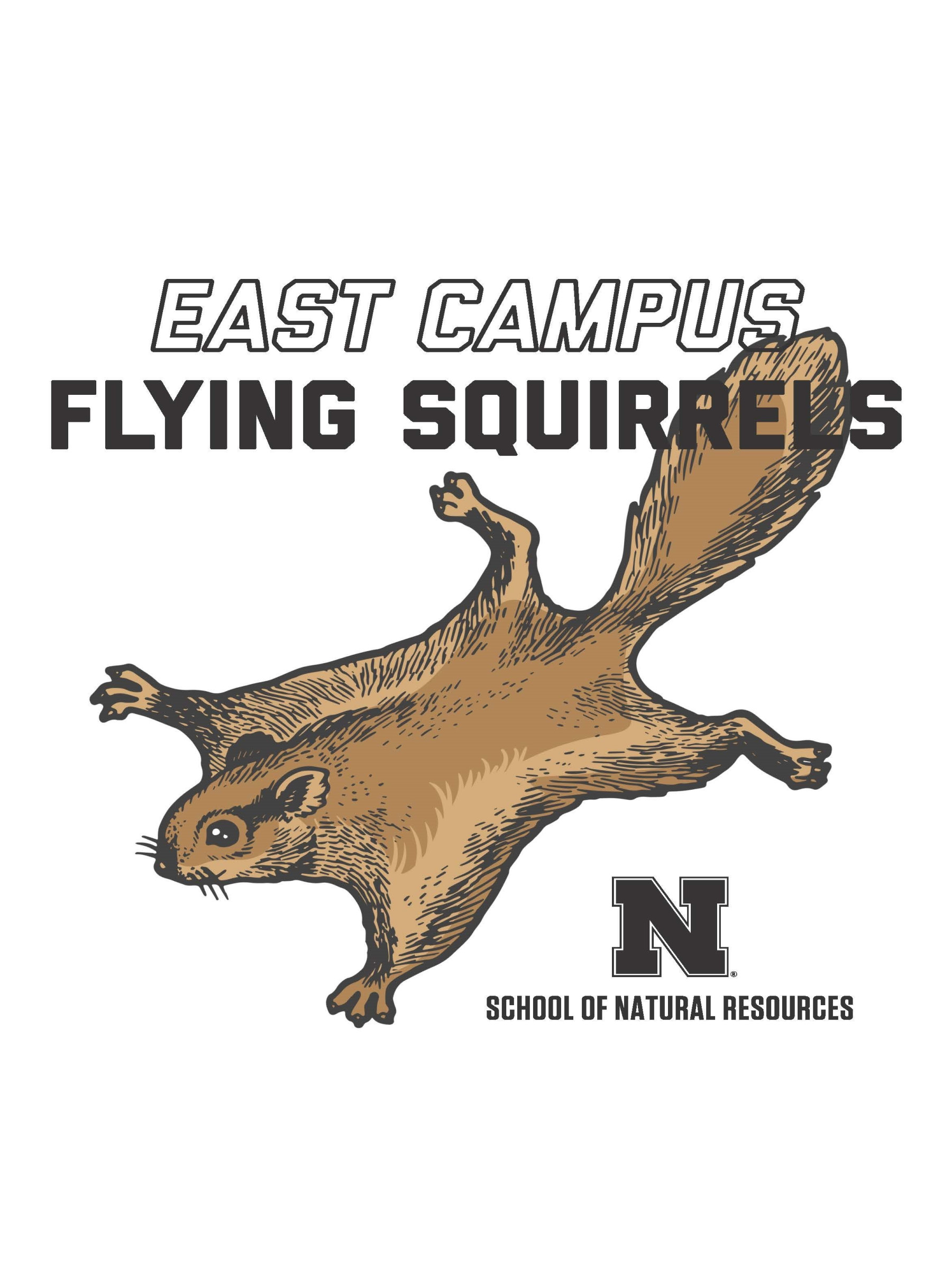 Flying Squirrel image