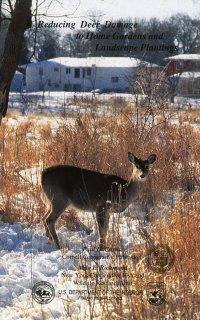Reducing Deer Damage to Home Gardens and Landscape Plantings (WD-11)