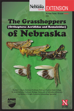 Grasshoppers of Nebraska