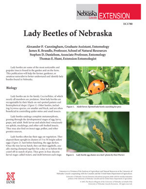 Lady Beetles of Nebraska