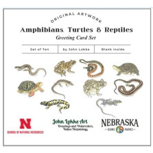Card-5 Label Image