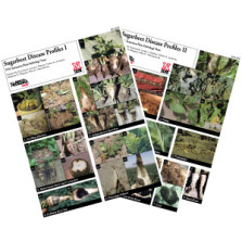 Sugarbeet Disease Profiles