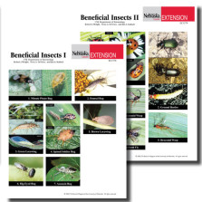 Beneficial Insects Photo Identification Guides