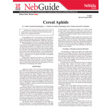 Cereal Aphids