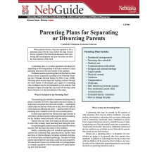 Parenting Plans for Separating or Divorcing Parents 