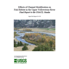 Effects of Channel Modification on Fish Habitat in the Upper Yellowstone River, Final Report to the USACE (U. S. Army Corps of Engineers), Omaha (OFR-03-476)