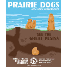 Prairie Dogs Poster