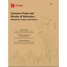 Common Forbs and Shrubs of Nebraska