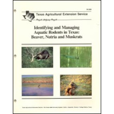 Identifying and Managing Aquatic Rodents in Texas: Beaver, Nutria and Muskrats(WD-3)