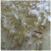 The United Classic States Raised Relief Map By Hubbard (MS-1)