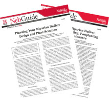 Planning and Installing a Riparian Buffer