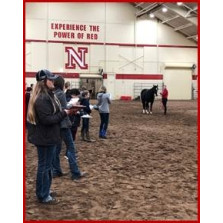 Horse Judging School - Coaches and Teams