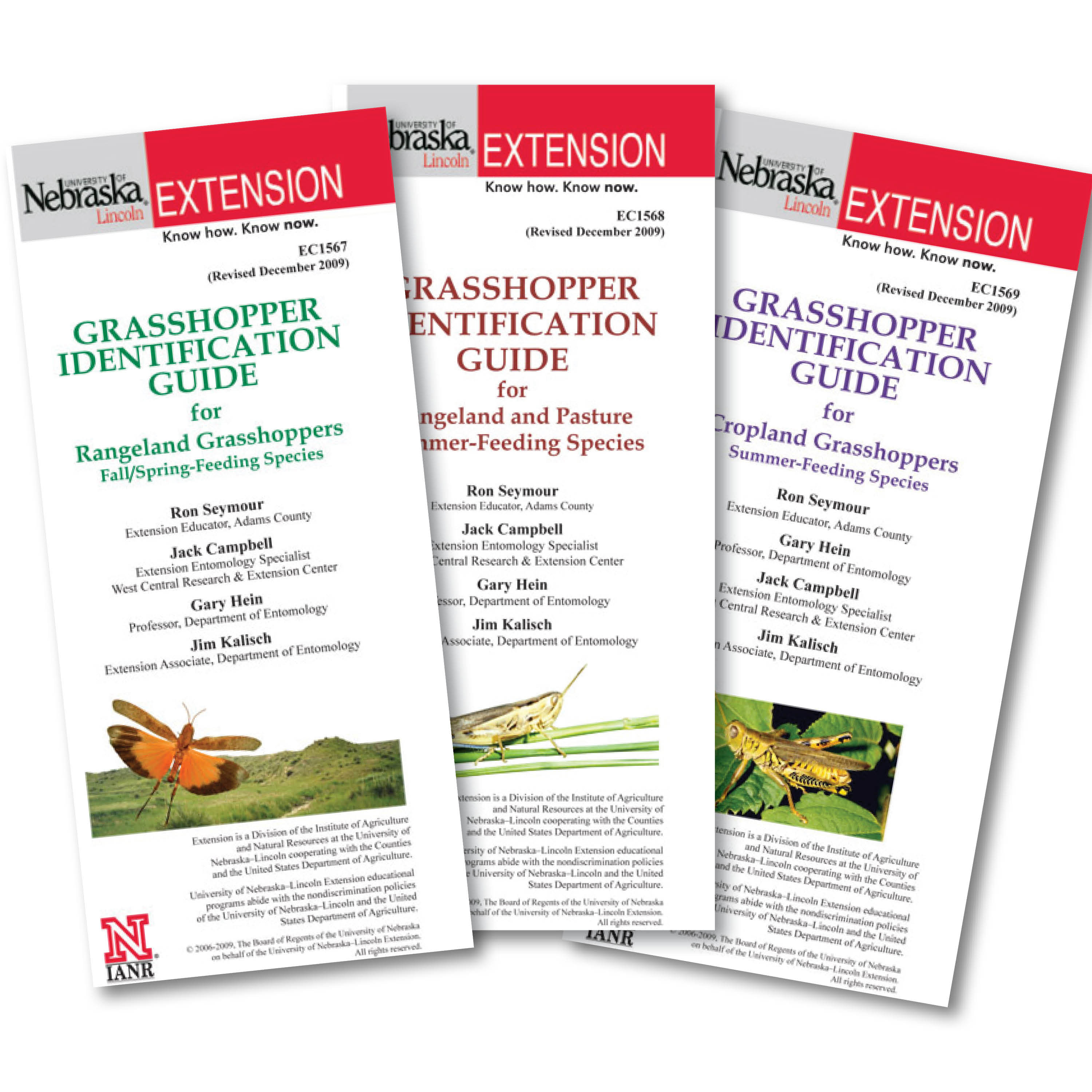 Grasshopper Identification Guides