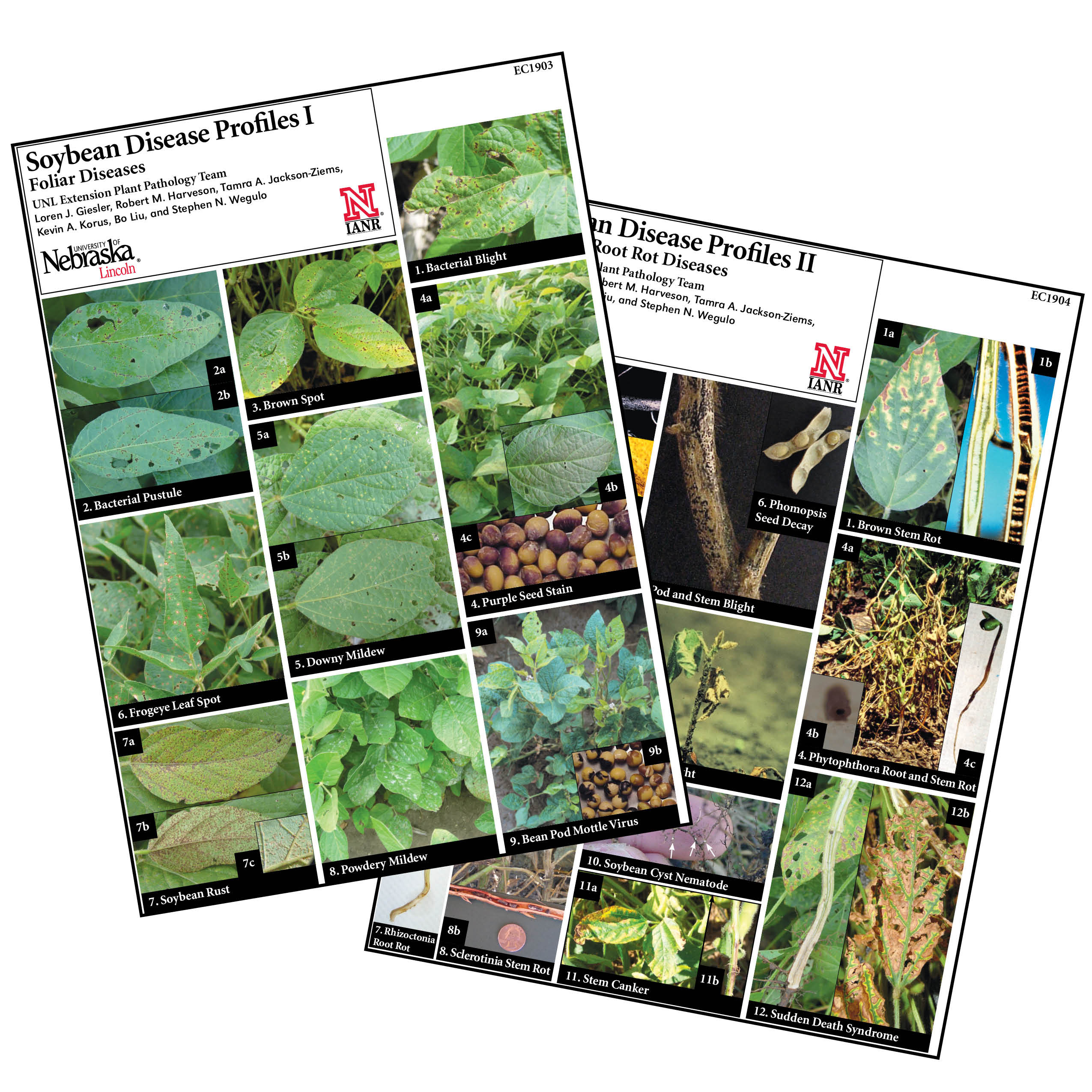 Soybean Disease Profiles