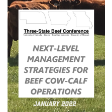 Next-Level Management Strategies for Beef Cow-Calf Operations