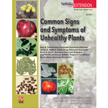 Common Signs and Symptoms of Unhealthy Plants