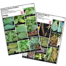 Soybean Disease Profiles