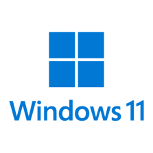 Windows 11 Pro 64-bit - USB-A Drive