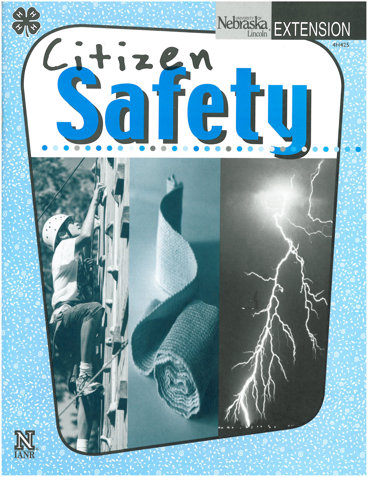 Citizen Safety