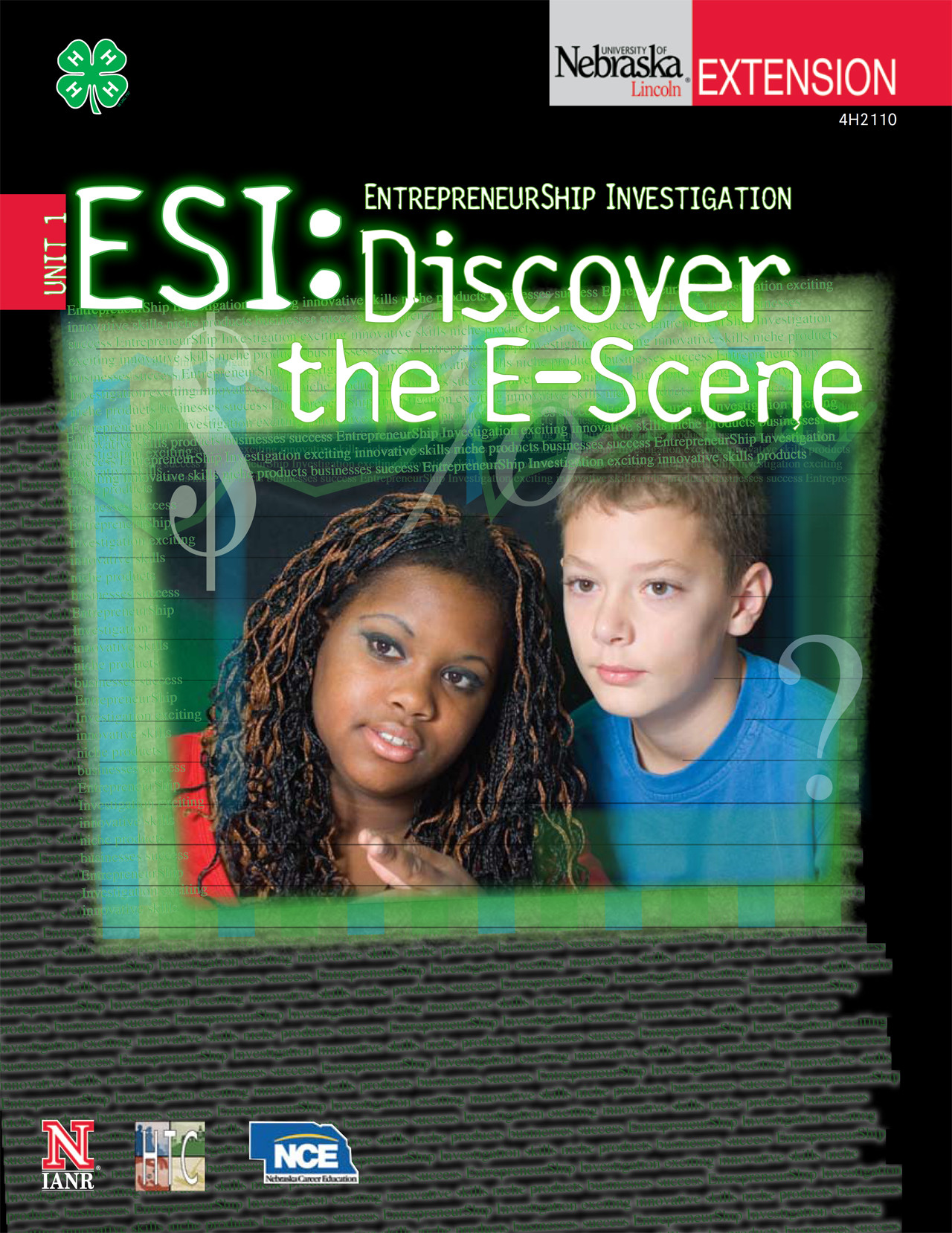 EntrepreneurShip Investigation 1: Discover the E-Scene