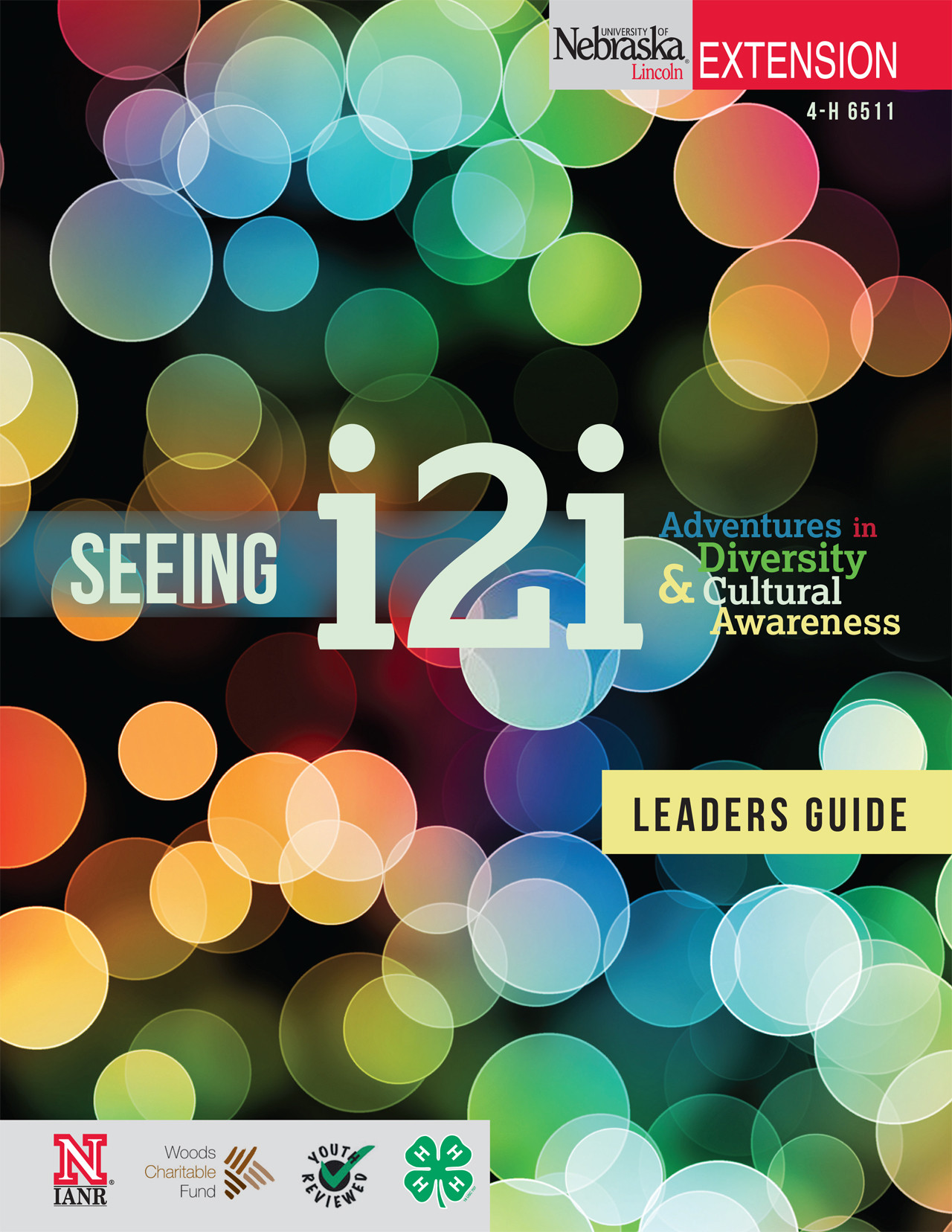 Seeing i2i - Leader's Guide [CD]