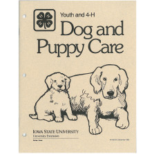 Dog and Puppy Care