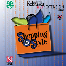 Shopping in Style [CD]