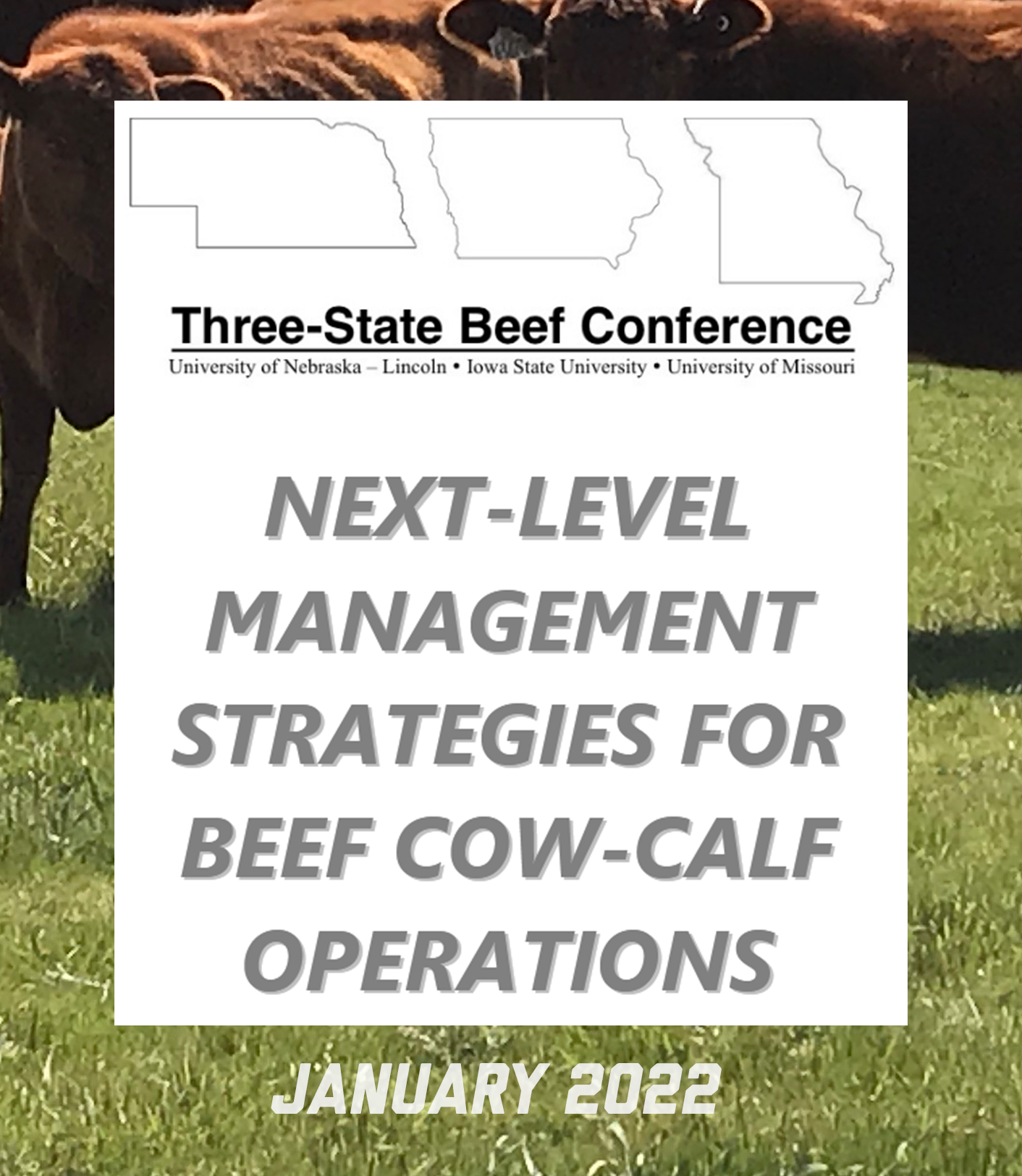 Next-Level Management Strategies for Beef Cow-Calf Operations