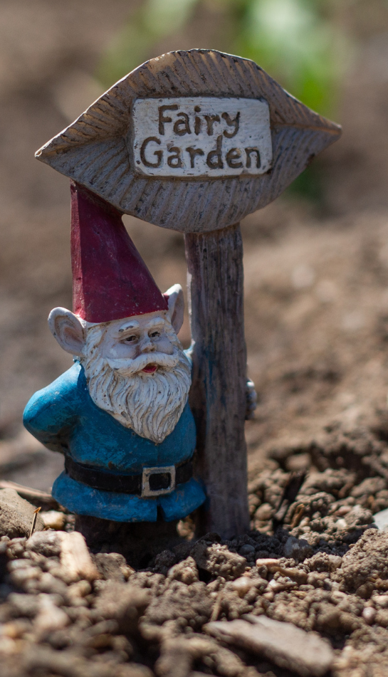 Homeschool Workshop - Fairy Gardens