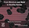 From Moisture and Mold to Healthy Homes - Basics for Consumers
