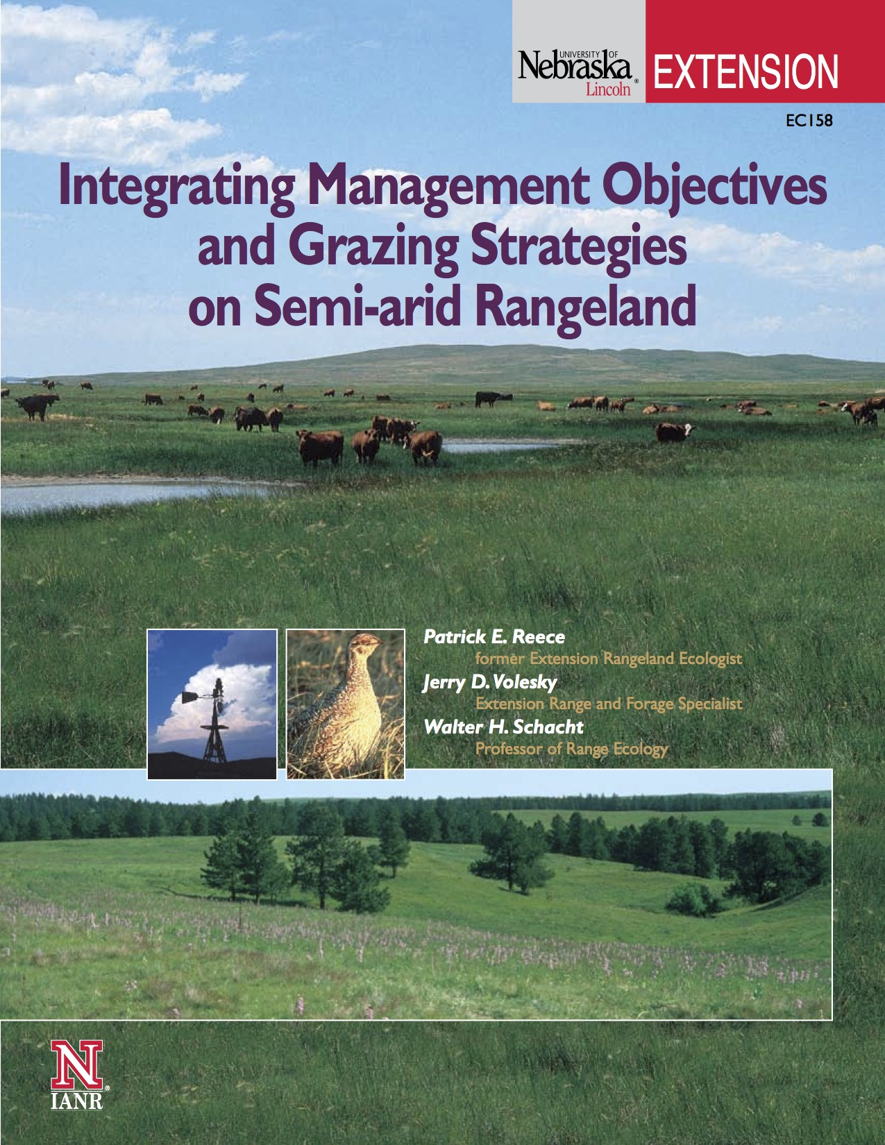 Integrating Management Objectives and Grazing Strategies on Semiarid Rangeland