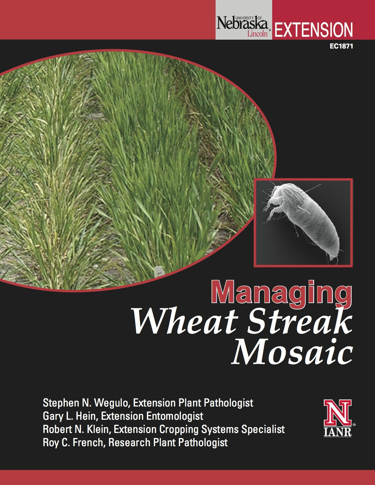 Managing Wheat Streak Mosaic