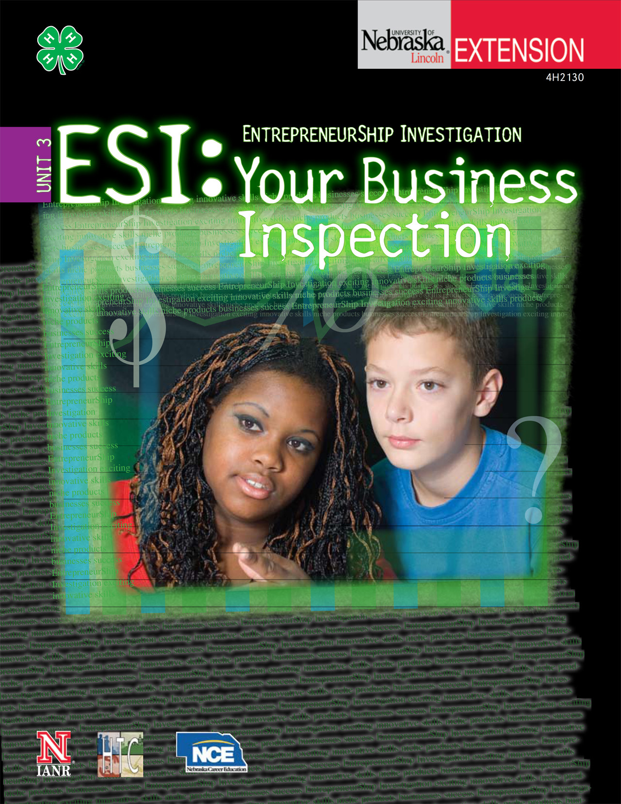 EntrepreneurShip Investigation 3: Your Business Inspection