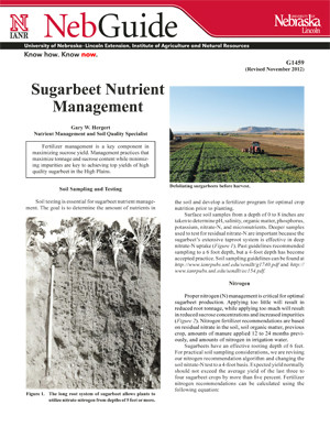 Sugarbeet Nutrient Management