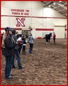 Horse Judging School - Coaches and Teams