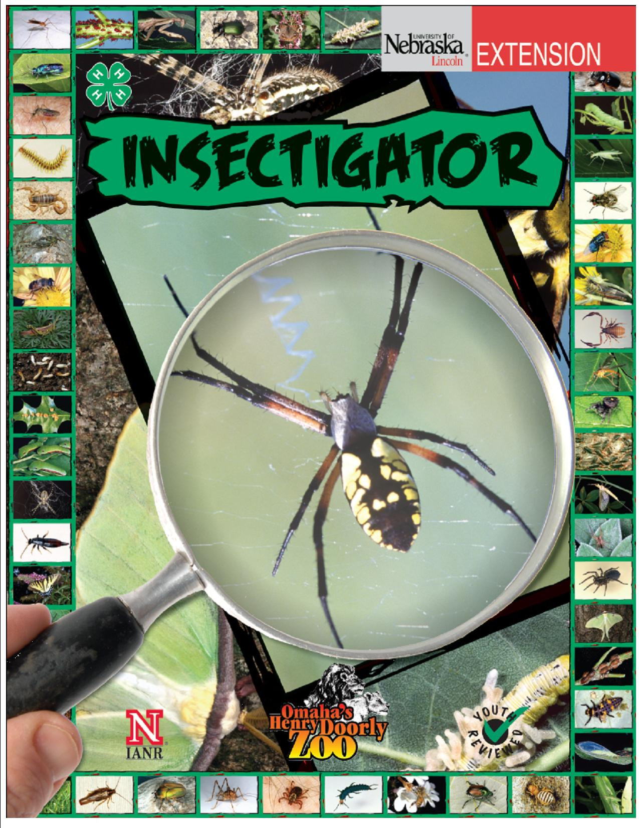 Insectigator