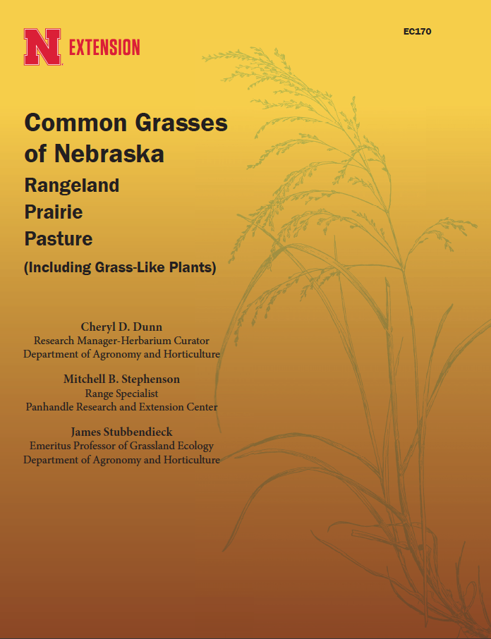 Common Grasses of Nebraska